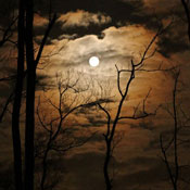 October - Hunter's Moon