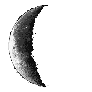 Ciudad Miguel Alemán: waning moon